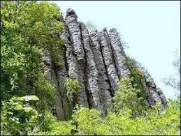 Bazaltorgonak tanosveny