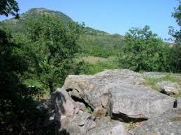 Papsapka kovek