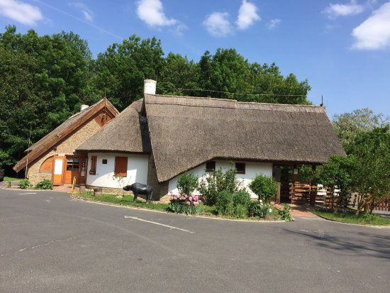 Kapolnapuszta Buffalo Reservation